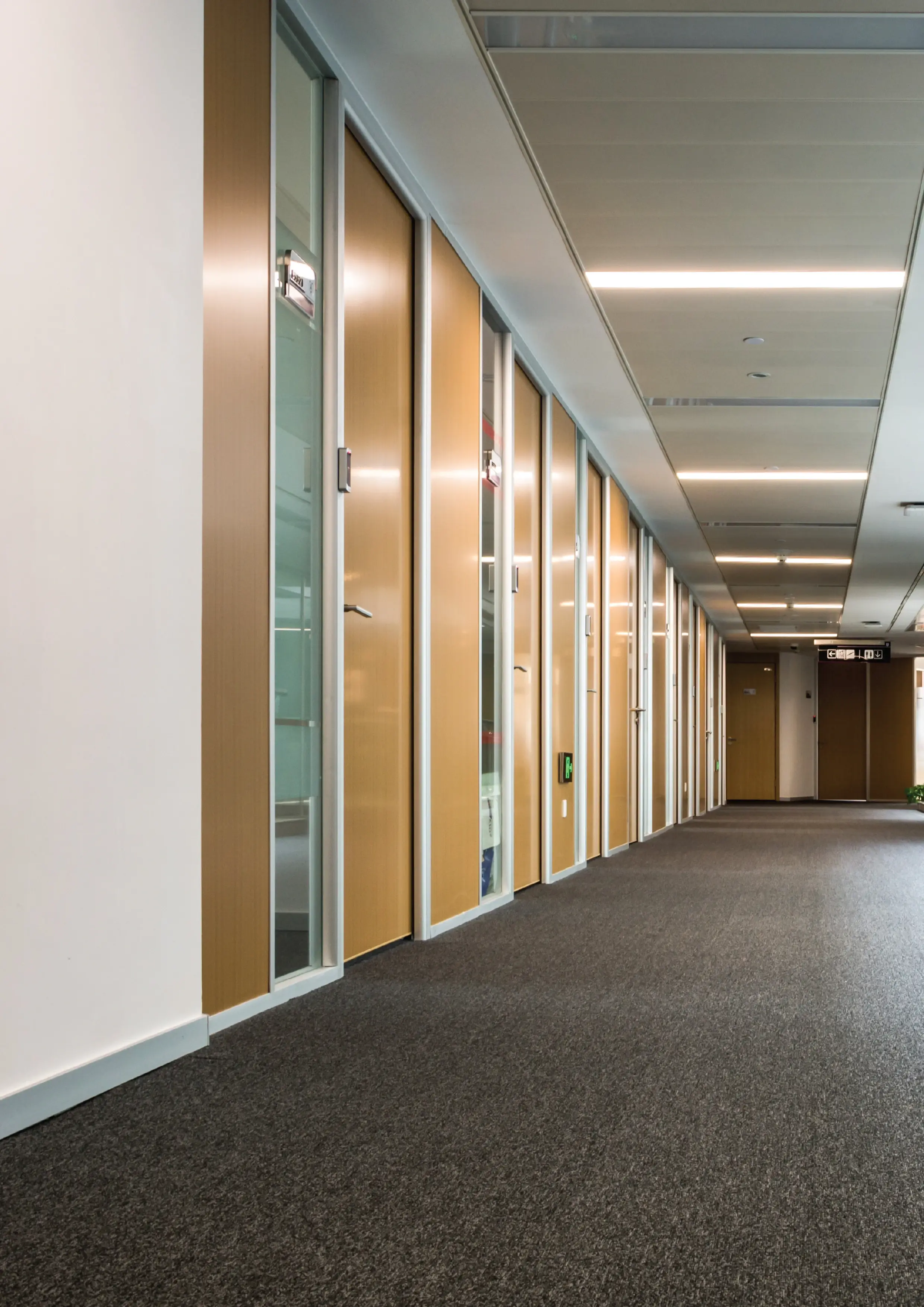 Modern commercial interior with carpet flooring